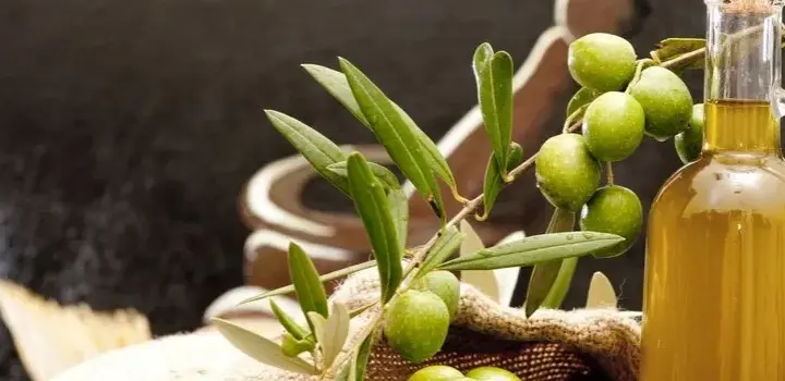 Oliwa z oliwek: eliksir zdrowia i urody. Na co naprawdę pomaga?