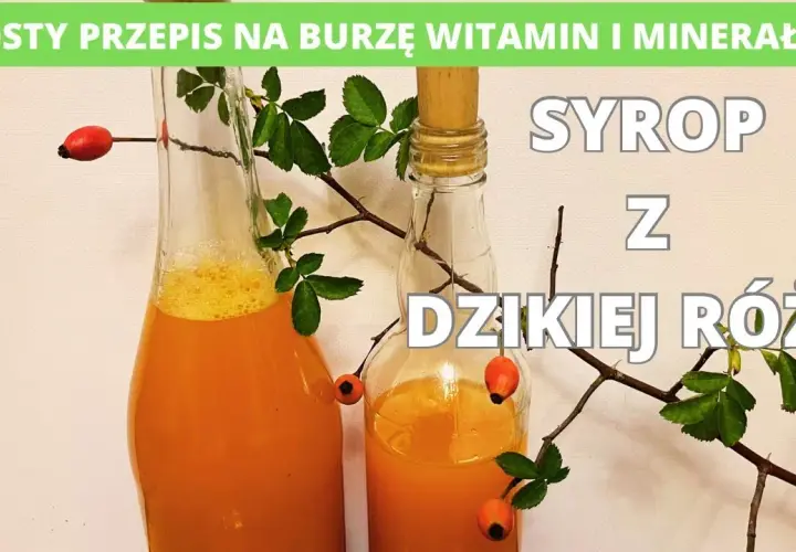 Jak zrobić sok z dzikiej róży? Pełny poradnik na zimową odporność.