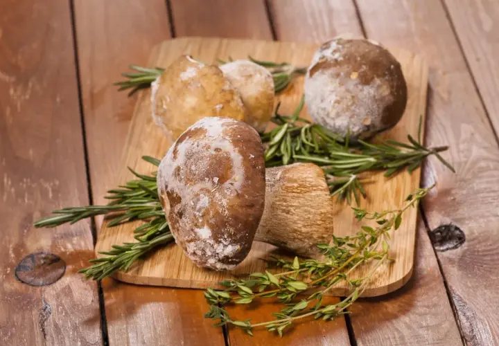 Jak mrozić grzyby? Uniknij błędów i ciesz się smakiem lasu!