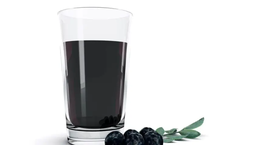 Szklanka ciemnego soku z jagód z kilkoma owocami i gałązką na białym tle.