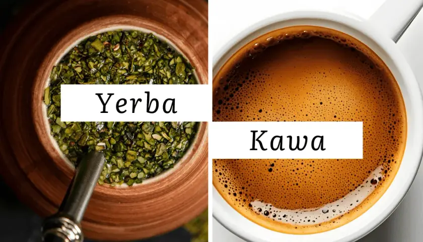 Yerba Mate: Czy to zdrowsza kawa? Poznaj sekrety i parzenie!