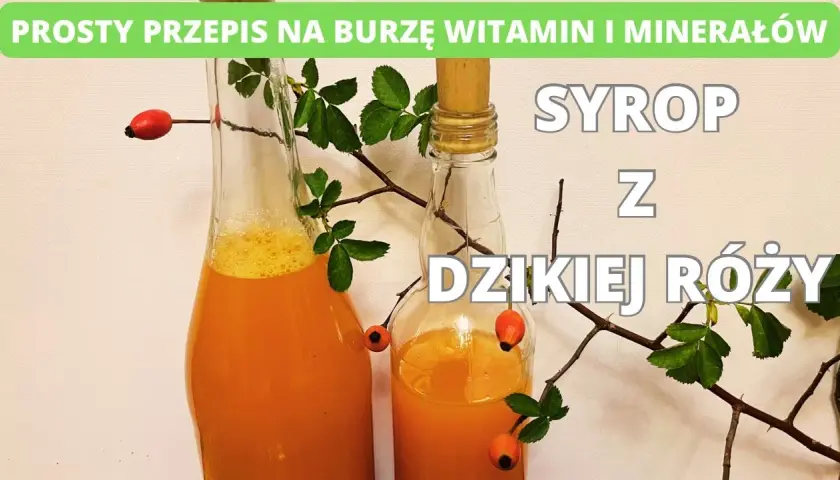 Jak zrobić sok z dzikiej róży? Pełny poradnik na zimową odporność.