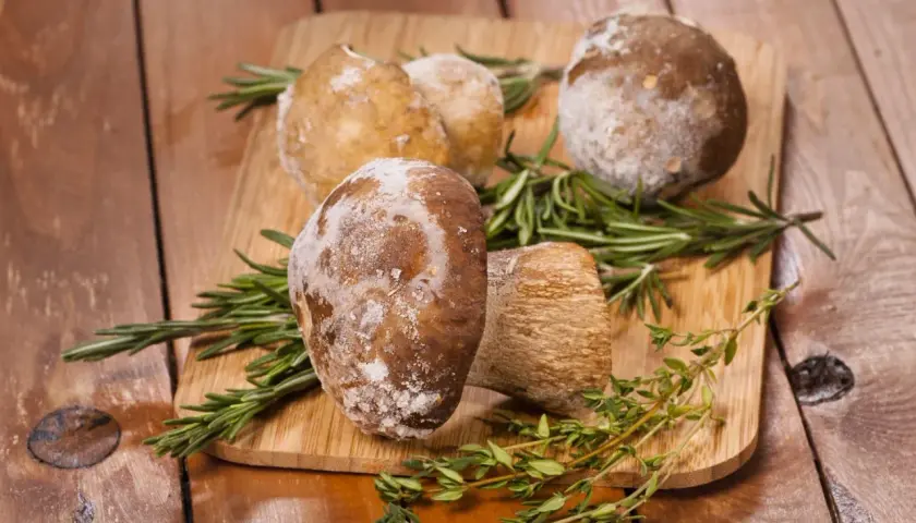 Jak mrozić grzyby? Uniknij błędów i ciesz się smakiem lasu!