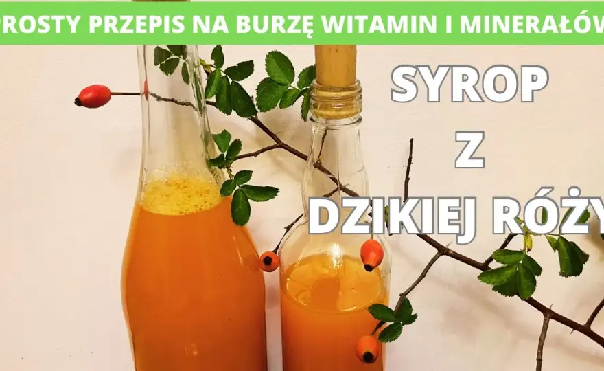 Jak zrobić sok z dzikiej róży? Pełny poradnik na zimową odporność.