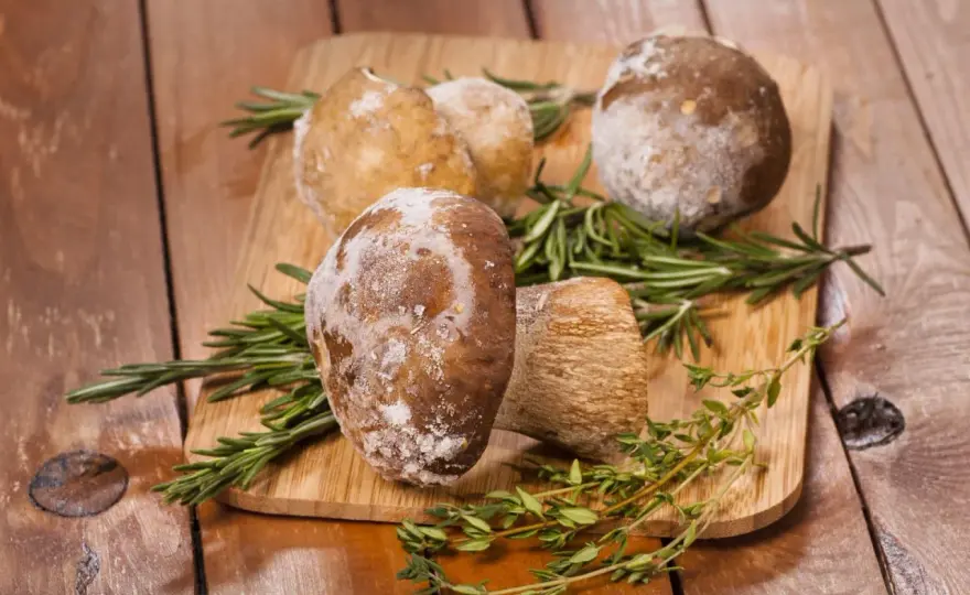 Jak mrozić grzyby? Uniknij błędów i ciesz się smakiem lasu!