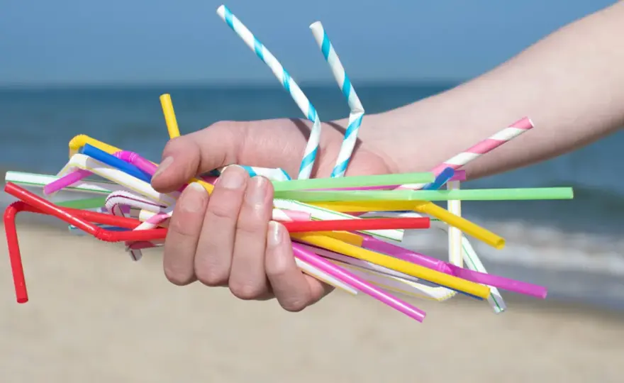 Słomki plastikowe: Zakaz, alternatywy. Czy wiesz, co wybrać?