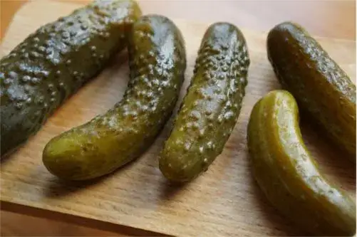 ogórek kiszony probiotyki mikroskop