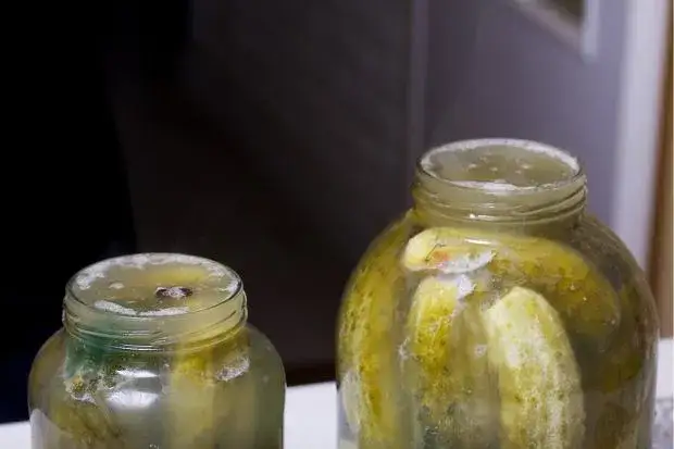 Nieudane ogórki kiszone, zepsute ogórki, pleśń na ogórkach